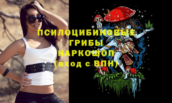 MESCALINE Баксан